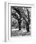 Oak Tree Study-Boyce Watt-Framed Art Print