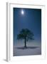 Oak Tree with Moon, Night Landscape in Snow-null-Framed Photographic Print