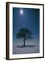 Oak Tree with Moon, Night Landscape in Snow-null-Framed Photographic Print