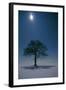 Oak Tree with Moon, Night Landscape in Snow-null-Framed Photographic Print