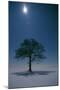 Oak Tree with Moon, Night Landscape in Snow-null-Mounted Photographic Print