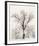 Oak Tree-Ansel Adams-Framed Art Print