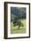 Oak Tree-DLILLC-Framed Photographic Print