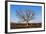 Oak Tree-dendron-Framed Photographic Print