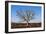 Oak Tree-dendron-Framed Photographic Print