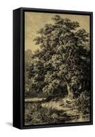 Oak Tree-Ernst Heyn-Framed Stretched Canvas