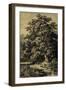 Oak Tree-Ernst Heyn-Framed Art Print