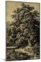 Oak Tree-Ernst Heyn-Mounted Art Print