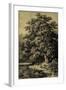 Oak Tree-Ernst Heyn-Framed Art Print