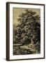 Oak Tree-Ernst Heyn-Framed Art Print