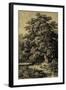 Oak Tree-Ernst Heyn-Framed Art Print