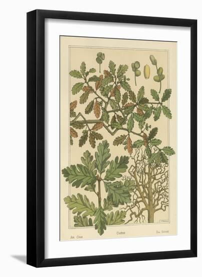 Oak Tree-M. P. Verneuil-Framed Art Print