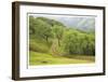 Oak Trees and Road-Donald Paulson-Framed Giclee Print