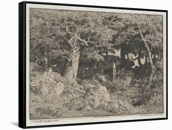 Oak Trees and Rocks, 1861 (Etching)-Theodore Rousseau-Framed Stretched Canvas