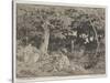 Oak Trees and Rocks, 1861 (Etching)-Theodore Rousseau-Stretched Canvas