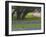 Oak Trees, Blue Bonnets, and Indian Paint Brush, Near Gay Hill, Texas, USA-Darrell Gulin-Framed Photographic Print