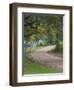 Oak Trees, Blue Bonnets, and Indian Paint Brush, Near Gay Hill, Texas, USA-Darrell Gulin-Framed Photographic Print