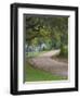 Oak Trees, Blue Bonnets, and Indian Paint Brush, Near Gay Hill, Texas, USA-Darrell Gulin-Framed Photographic Print