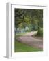 Oak Trees, Blue Bonnets, and Indian Paint Brush, Near Gay Hill, Texas, USA-Darrell Gulin-Framed Photographic Print