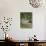 Oak Trees, Blue Bonnets, and Indian Paint Brush, Near Gay Hill, Texas, USA-Darrell Gulin-Photographic Print displayed on a wall