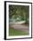 Oak Trees, Blue Bonnets, and Indian Paint Brush, Near Gay Hill, Texas, USA-Darrell Gulin-Framed Photographic Print
