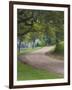 Oak Trees, Blue Bonnets, and Indian Paint Brush, Near Gay Hill, Texas, USA-Darrell Gulin-Framed Photographic Print