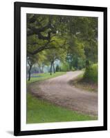 Oak Trees, Blue Bonnets, and Indian Paint Brush, Near Gay Hill, Texas, USA-Darrell Gulin-Framed Photographic Print