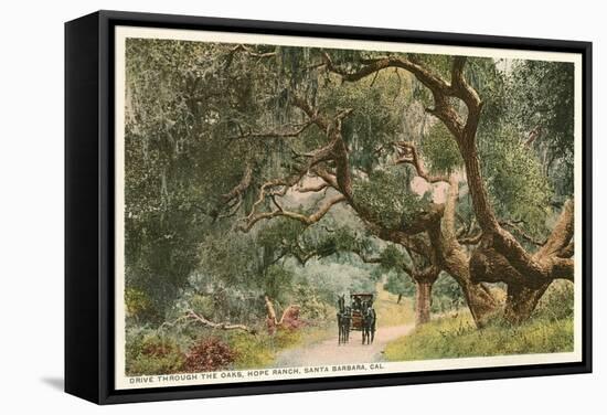 Oak Trees, Hope Ranch, Santa Barbara, California-null-Framed Stretched Canvas