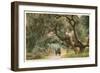 Oak Trees, Hope Ranch, Santa Barbara, California-null-Framed Art Print