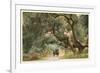 Oak Trees, Hope Ranch, Santa Barbara, California-null-Framed Art Print