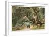 Oak Trees, Hope Ranch, Santa Barbara, California-null-Framed Premium Giclee Print