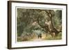 Oak Trees, Hope Ranch, Santa Barbara, California-null-Framed Premium Giclee Print