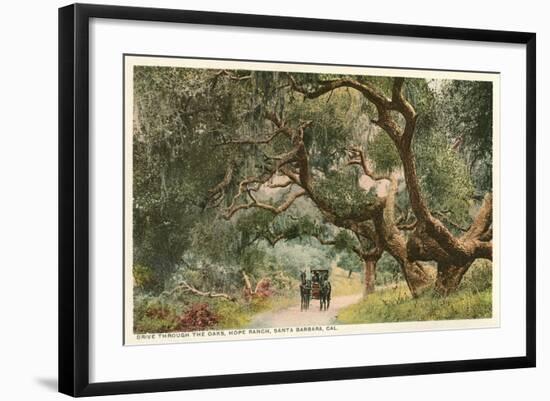 Oak Trees, Hope Ranch, Santa Barbara, California-null-Framed Premium Giclee Print