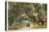 Oak Trees, Hope Ranch, Santa Barbara, California-null-Stretched Canvas