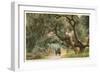 Oak Trees, Hope Ranch, Santa Barbara, California-null-Framed Premium Giclee Print