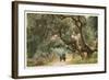 Oak Trees, Hope Ranch, Santa Barbara, California-null-Framed Art Print