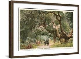 Oak Trees, Hope Ranch, Santa Barbara, California-null-Framed Art Print