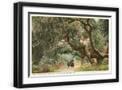 Black Frame