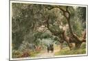 Wood Mount