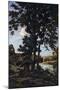 Oak Trees in Chateaunenard, France, 1926-Henri-Joseph Harpignies-Mounted Giclee Print