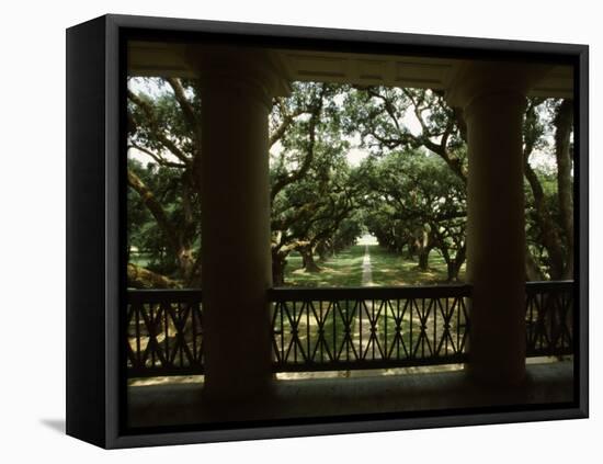 Oak Trees in Front of a Mansion, Oak Alley Plantation, Vacherie, Louisiana, USA-null-Framed Stretched Canvas