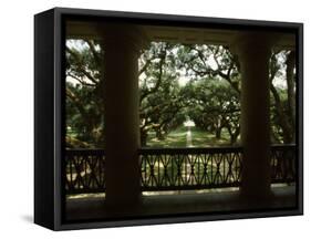 Oak Trees in Front of a Mansion, Oak Alley Plantation, Vacherie, Louisiana, USA-null-Framed Stretched Canvas