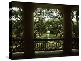 Oak Trees in Front of a Mansion, Oak Alley Plantation, Vacherie, Louisiana, USA-null-Stretched Canvas