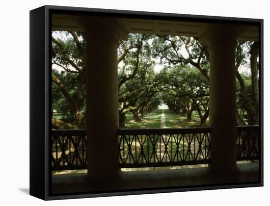 Oak Trees in Front of a Mansion, Oak Alley Plantation, Vacherie, Louisiana, USA-null-Framed Stretched Canvas