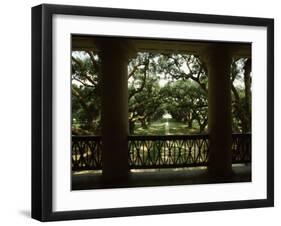 Oak Trees in Front of a Mansion, Oak Alley Plantation, Vacherie, Louisiana, USA-null-Framed Premium Photographic Print