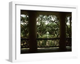 Oak Trees in Front of a Mansion, Oak Alley Plantation, Vacherie, Louisiana, USA-null-Framed Photographic Print