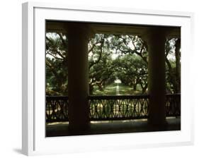 Oak Trees in Front of a Mansion, Oak Alley Plantation, Vacherie, Louisiana, USA-null-Framed Photographic Print