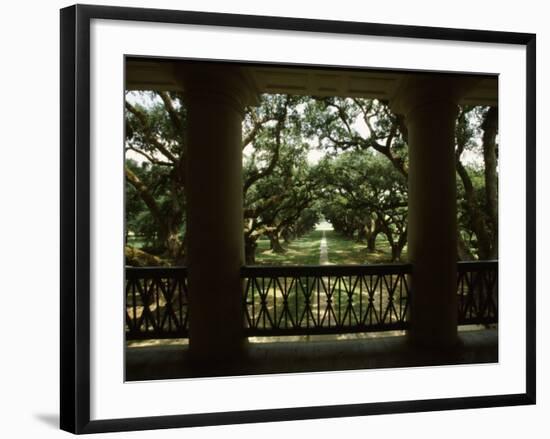 Oak Trees in Front of a Mansion, Oak Alley Plantation, Vacherie, Louisiana, USA-null-Framed Photographic Print