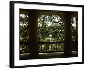 Oak Trees in Front of a Mansion, Oak Alley Plantation, Vacherie, Louisiana, USA-null-Framed Photographic Print