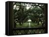 Oak Trees in Front of a Mansion, Oak Alley Plantation, Vacherie, Louisiana, USA-null-Framed Stretched Canvas